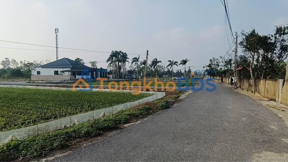 Đất Lô Góc Nghi Trường 157m² - Hai Mặt Tiền, Tiềm Năng Đầu Tư Vượt Trội