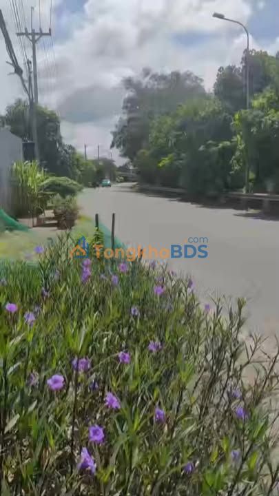 Bán Đất Mặt Tiền Nguyễn Văn Khạ Củ Chi 420m² - Giá Tốt, Cần Bán Gấp