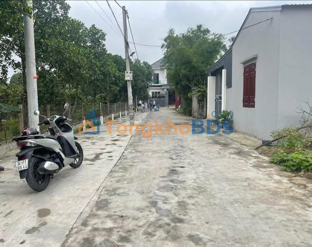 Đất Nền Thọ Trương, Thanh Miện - 105m² Sổ Đỏ, Sinh Lời Ngay!