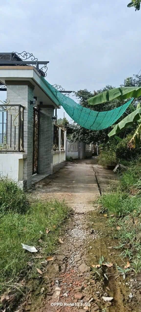 Bán Nền Thổ Cư Phong Điền Cần Thơ 135m² Giá 680 Triệu - Sổ Đỏ Sẵn Sàng