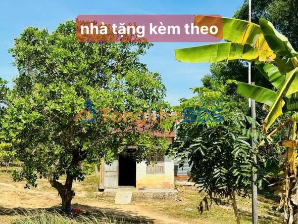 Đất Nền Easin, Đắk Lắk - 1150m² Đường 32m, Giá 750 Triệu Sổ Đỏ