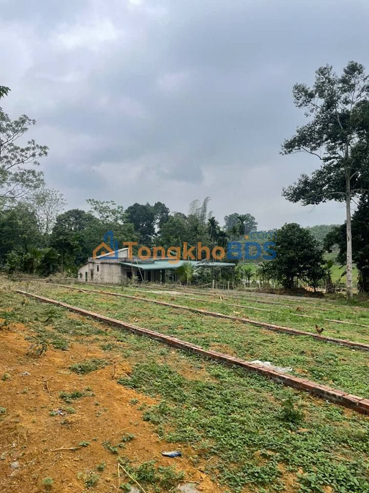 Bán Đất Lạc Sơn 175m² Full Thổ Cư - Giá Tốt Chỉ Từ 3xx Triệu