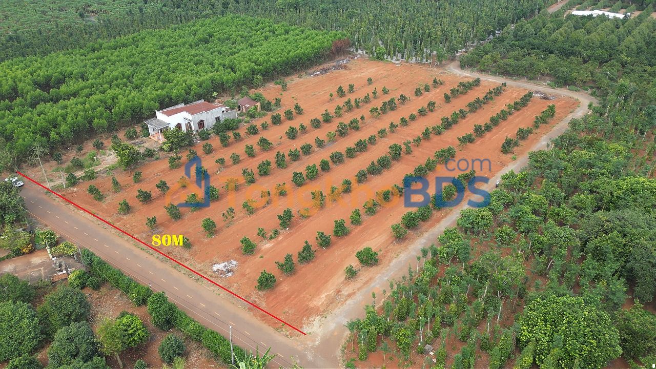 Bán Đất Vườn Yên Tĩnh 1020m² - Phường 12, Quận 6 - Giá 1.5 Tỷ/Lô