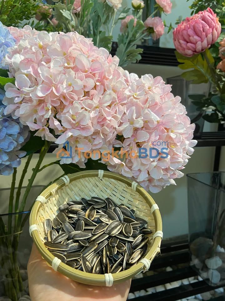 Đất thổ cư 4500m² Kim Bôi, Hoà Bình - Giá đầu tư tốt