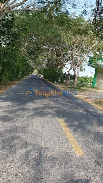 Đất nền Phường Tân Nghĩa, Cao Lãnh - Vài trăm triệu, kinh doanh đắc lợi