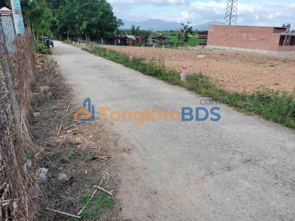 Bán đất thổ cư 146.6m² Huyện Diên Khánh - Sổ hồng sẵn sàng, giá 650 triệu