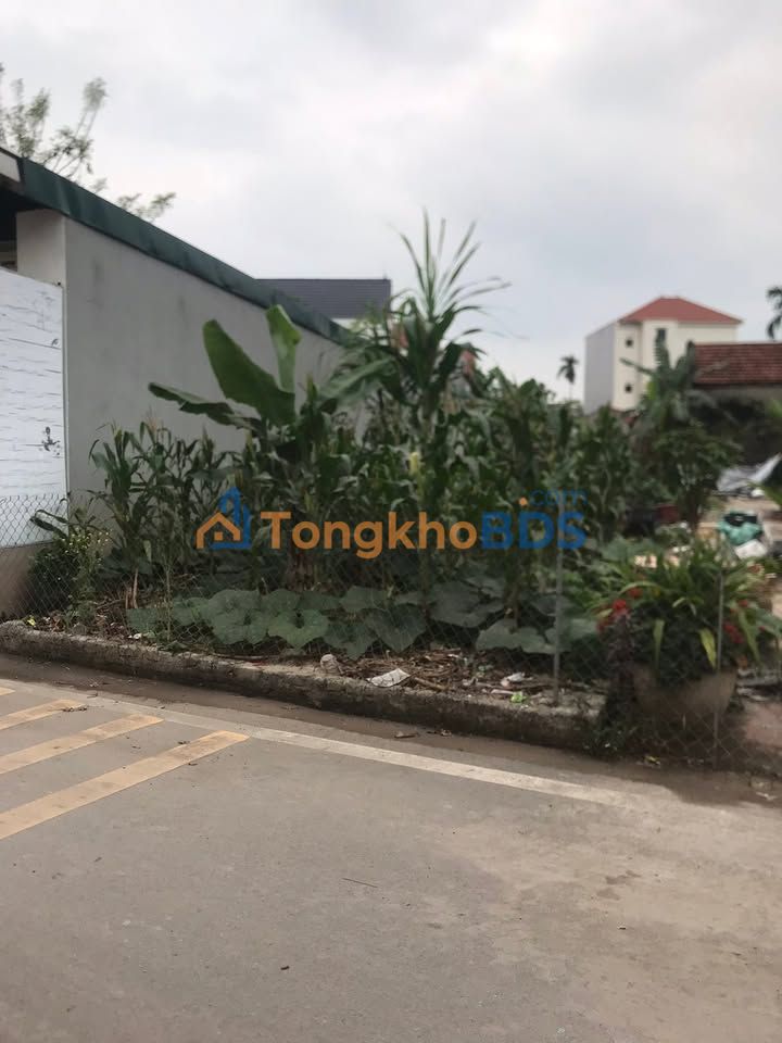 Bán Đất Hưng Yên 130m² Đan Nhiễm - Mặt Tiền 4.5m, Ô Tô Vào Tận Nơi