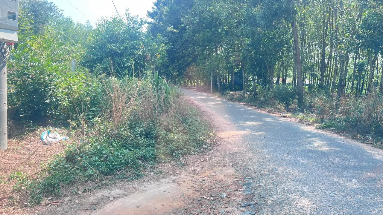 Bán Đất Vàng 945m² Đường Huỳnh Công Giản, Tân An - Sẵn Sàng Lên Thổ Cư