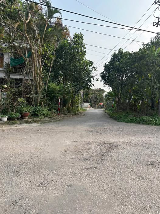 Đất nền TDC Tân Long 90m² - Hơn 1 tỷ, Sổ đỏ sẵn sàng