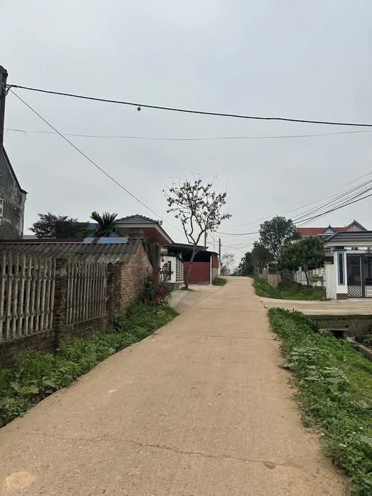 Đất nền 336m² mặt tiền 20m ngay KCN Hạnh Phúc - Giá 1 tỷ