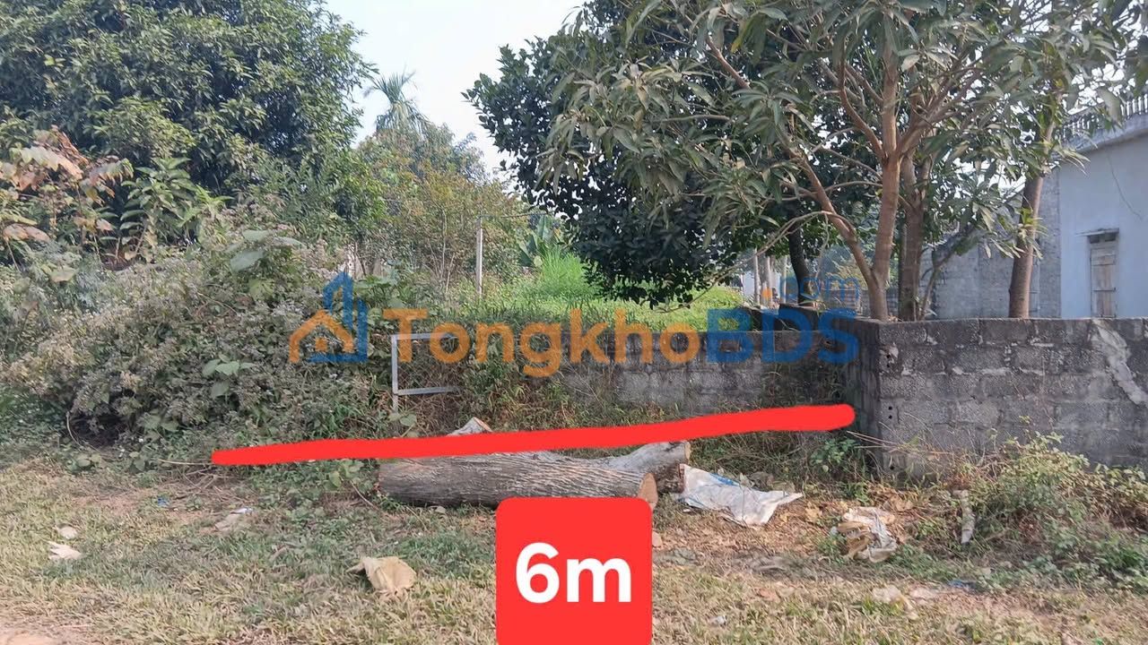 Đất nền QL70 Phú Thọ - 180m² TC, Mặt tiền rộng - Đầu tư sinh lời