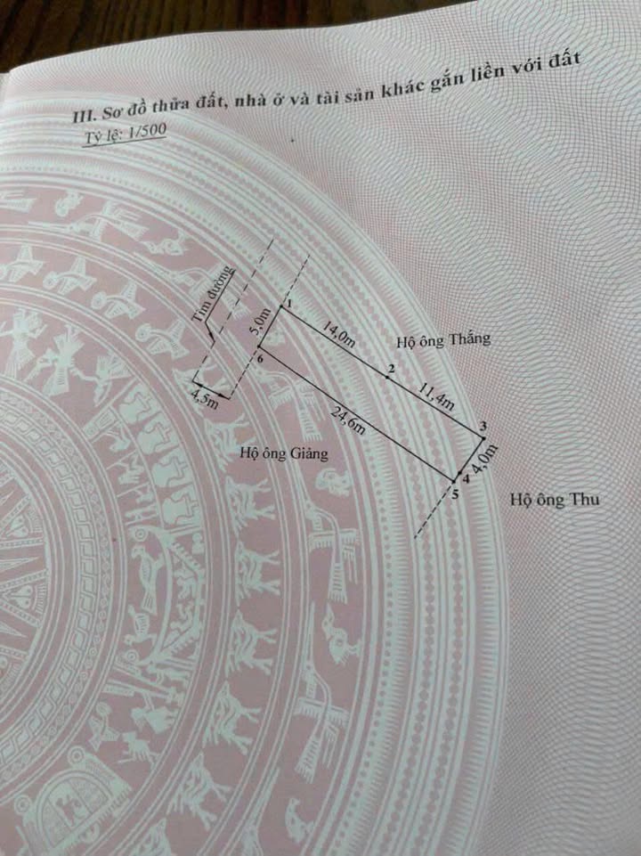 Đất thổ cư 125m² mặt đường thôn trục chính Đồ Sơn, Hải Phòng - Giá tốt 3.62 tỷ