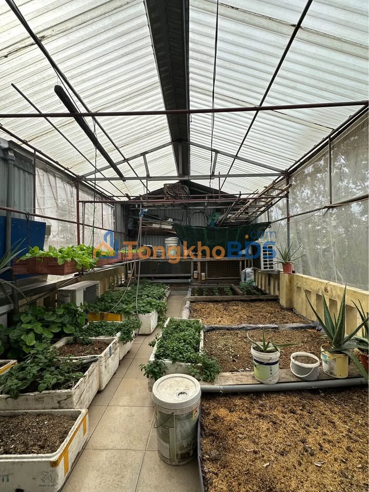 Nhà Mặt Ngõ Kinh Doanh Đằng Hải, 43m² Giá 3.35 Tỷ - Ô Tô Vô Tận Nhà!