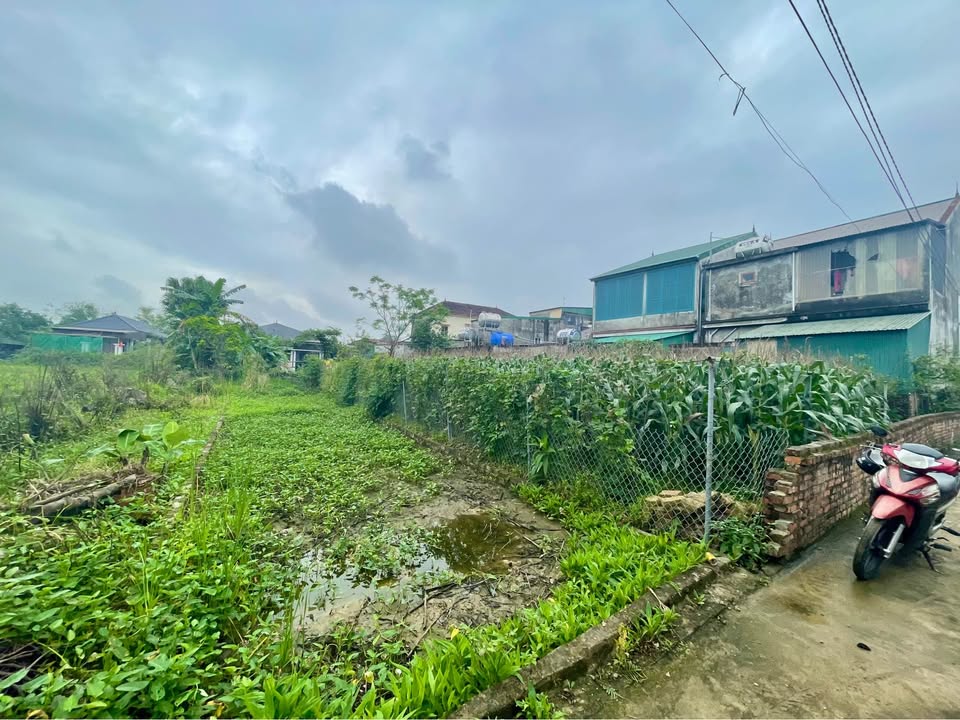 Đất nền Hưng Đông, Vinh 103m² - Đầu tư sinh lời dưới 2 tỷ