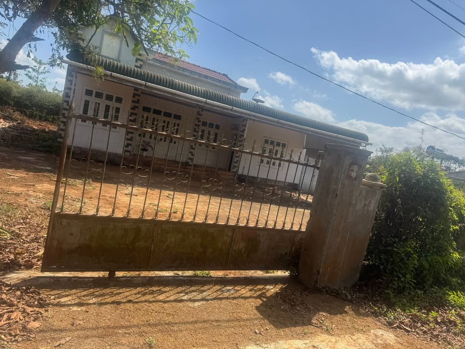 Đất Thổ Cư 400m² Mặt Đường Bê Tông Cư Dliê M'nông - Giá 650 Triệu/Lô