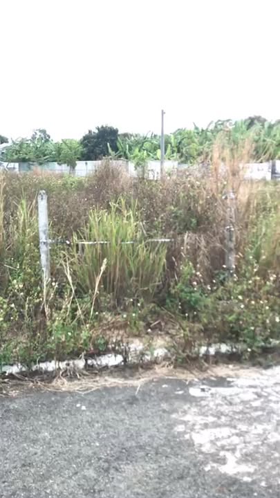 Đất nền Hưng Lộc, Thống Nhất, Đồng Nai - 92.6m² - Sổ hồng riêng, giá chỉ 1.15 tỷ