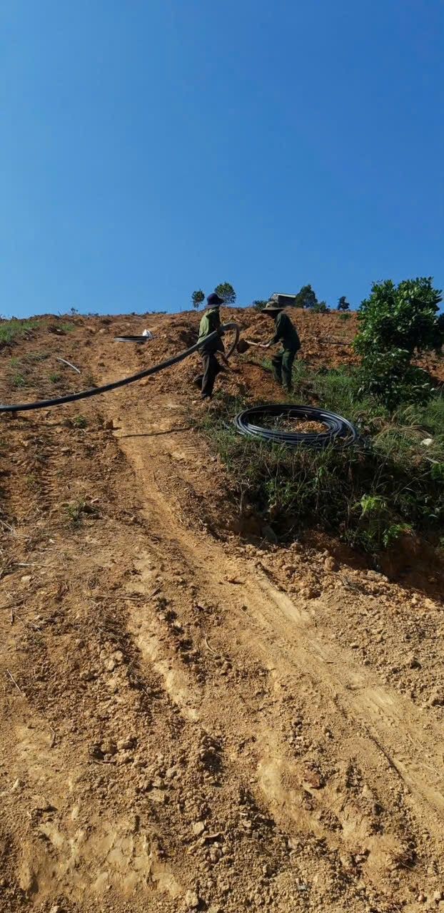 Đất Nền Quảng Phú, Lâm Đồng 10.000m² - Sẵn Sàng Múc Hố, Giá Đầu Tư 300 Triệu/ha