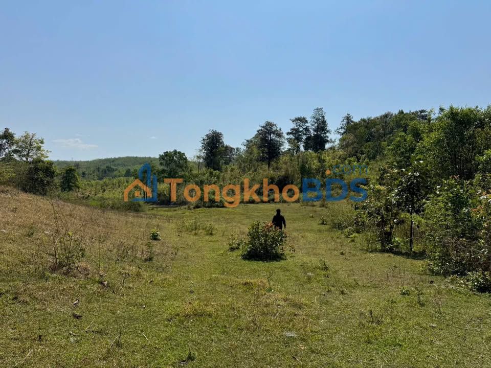 Bán đất rẫy 4500m² Đăk Blà, Kon Tum - Giá chỉ từ 3xx triệu