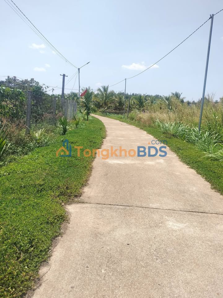 Farmstay Đắk Lắk 1.2ha - 3.2 Tỷ - Sổ Đỏ Rõ Ràng