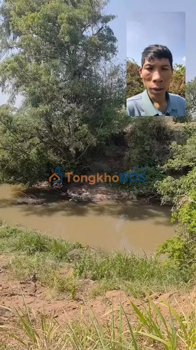 Đất Vườn Gia Lai 1.5ha Ôm Suối - Sổ Đỏ Riêng 9 Sào - Giá Thỏa Thuận