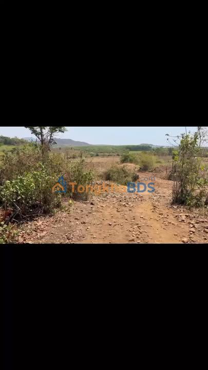 Bán Đất Vườn 9600m² Xã Ia Le, Gia Lai - Giá Đầu Tư 750 Triệu