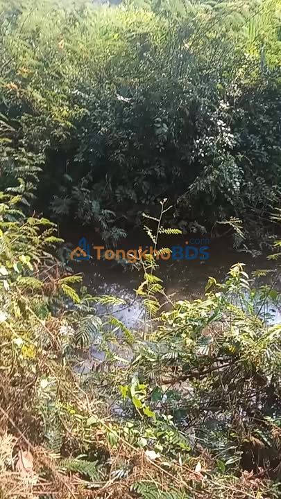 Đất Vườn Bình Phước 2.16ha Giá 2.6 Tỷ - Vị Trí Đắc Địa