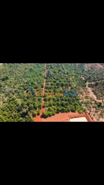 Farm 2.3 Ha Đắk Nông - 65m Mặt Đường Bê Tông, Sầu Riêng & Cà Phê - Thu Nhập Cao