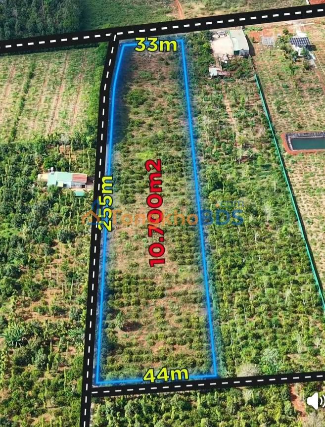 Bán Đất Vườn Quảng Trung, Buôn Hồ, Đắk Lắk - 10.000m² Góc 3 Mặt Tiền