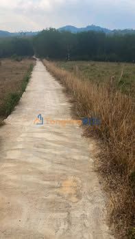 Đất Vườn Kon Tum 25200m² - Giá Tốt Đầu Tư Trang Trại