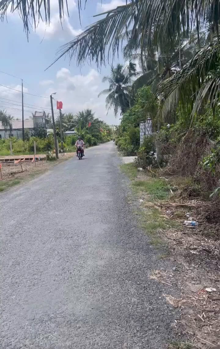 Đất Vĩnh Long 2177m² Mặt Tiền Đường Huyện 72, Trà Ôn - Đầu tư sinh lời