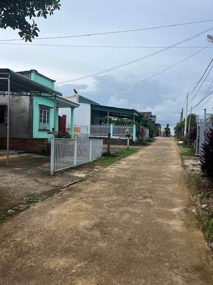 Đất Vườn 9600m² Xã Ninh Gia, Đức Trọng - Giá Đầu Tư Chỉ 1.8 Tỷ