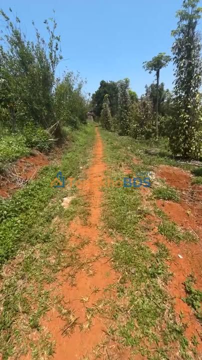 Bán Đất Vườn 1.5ha Xã Thuận Hà, Di Linh - Giá 2.8 Tỷ, Sẵn Nước Điện