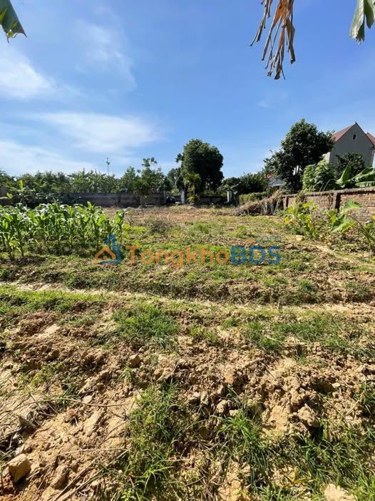 Đất Vàng Quỳnh Sơn - Bắc Giang: 3753m² Sổ Đỏ, Xe Hơi Vào Tận Nơi, Giá 6 Tỷ