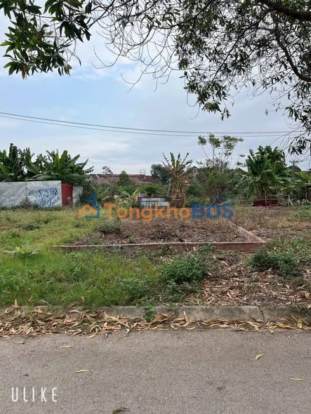 Đất nền Tân Mai, Bắc Ninh 82.5m² - Sổ đỏ sẵn sàng, giá tốt đầu tư