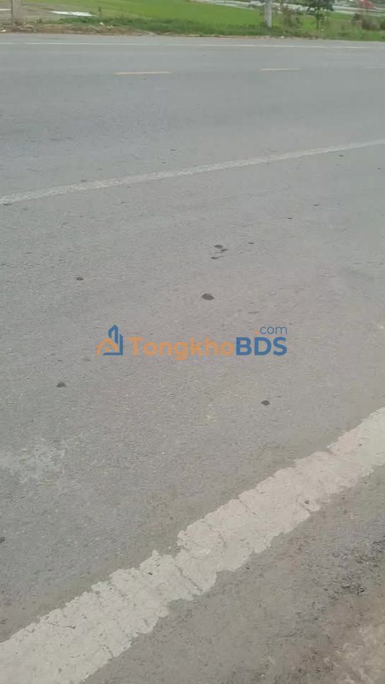 Đất Làn Trục Chính Dục Quang 1, Bắc Giang - 100m² Kinh Doanh Đa Ngành, Giá 4 Tỷ