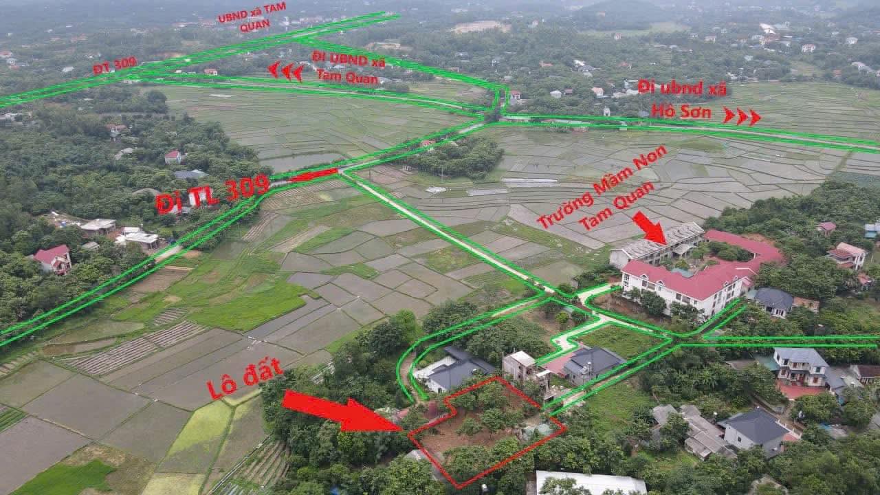 Đất Làng Mấu Tam Quan 300m² Sổ Đỏ - Giá Tốt Đầu Tư