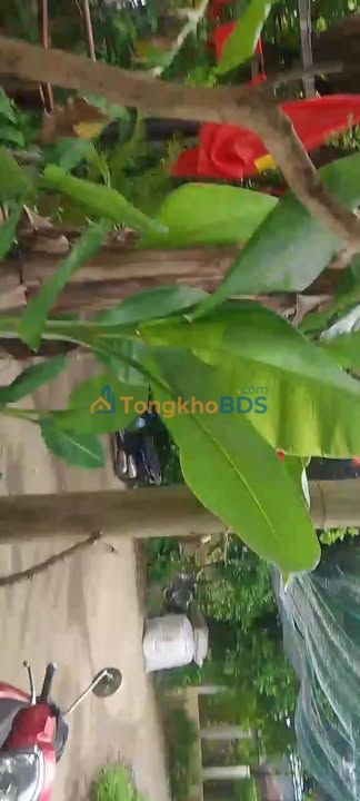 Đất nền view sông Cẩm Kim, Hội An - 172m², ngang 7.4m, giá 2 tỷ