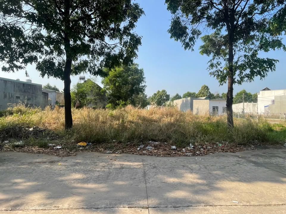 Bán Đất Vàng Khu I Mỹ Phước 3, Tân Phú - 300m² ODT, Sổ Hồng Sẵn Sàng