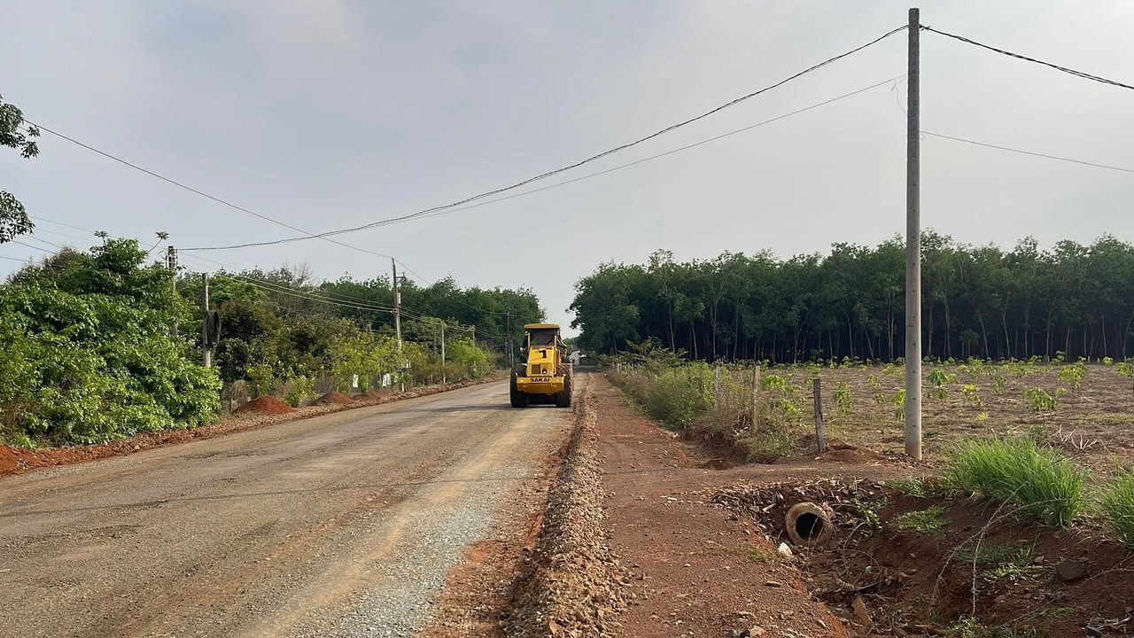 Bán Gấp Trang Trại 3ha Long Bình, Bình Phước - Sẵn Sàng Kinh Doanh