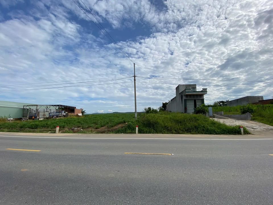 Đất Vàng Mặt Tiền QL19 An Khê - 162m² Sẵn Sổ Hồng, Kinh Doanh Đỉnh Cao