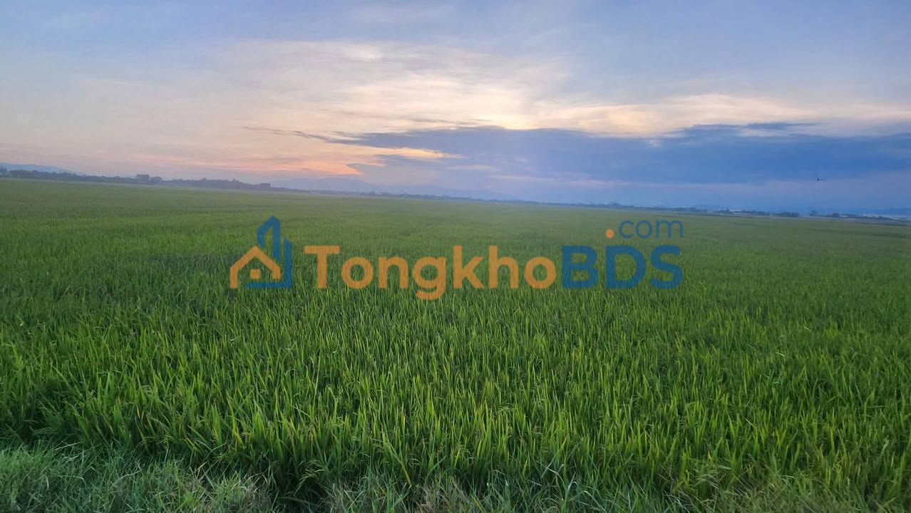 Bán Đất Lúa 3720m² Phường Văn Hải, Phan Rang - Giá Đầu Tư 1.048 Tỷ