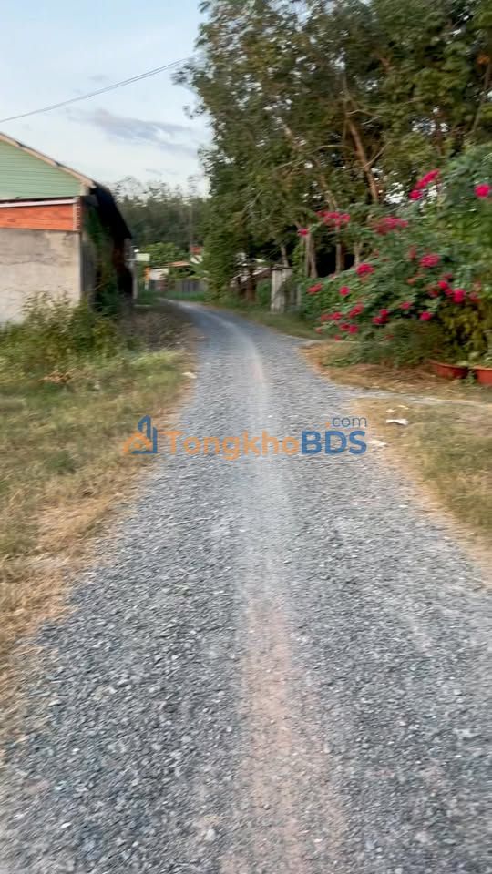 Đất nền Phước Thạnh Gò Dầu 96m² 450 triệu - Đường ô tô