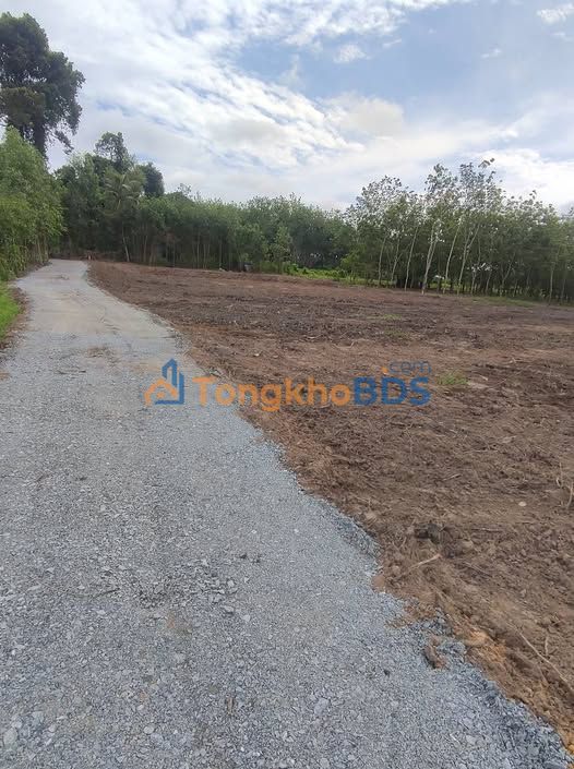 Đất nền Cẩm Giang Gò Dầu 2.700m² 36.45 tỷ - Giá tốt hiếm có