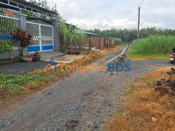 Đất Nền Gò Dầu, Tây Ninh - 130m² Sổ Đỏ Thổ Cư, Giá 410 Triệu