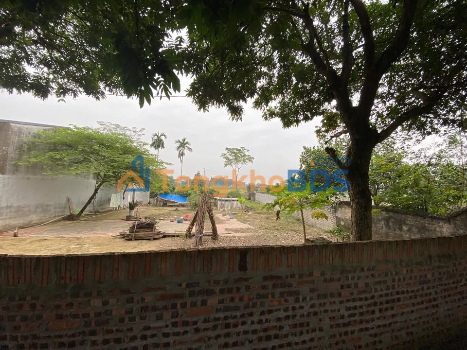 Đất Nền Xã Cao Xá 129m² - Giá Đầu Tư Chỉ Từ 7xx Triệu