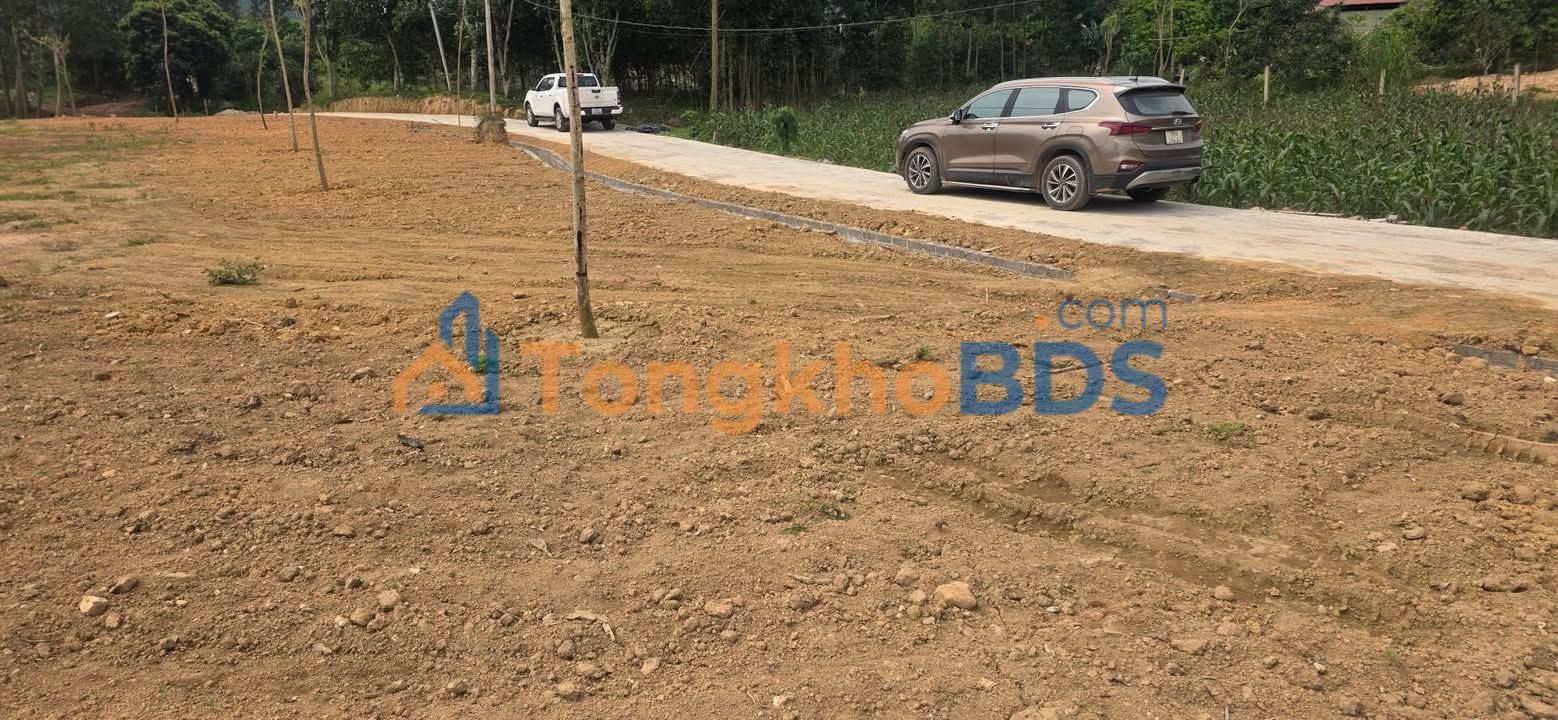 Bán Đất Vàng Yên Thế, Bắc Giang 350m² Mặt Tiền Đường 50m - Giá 1.95 Tỷ