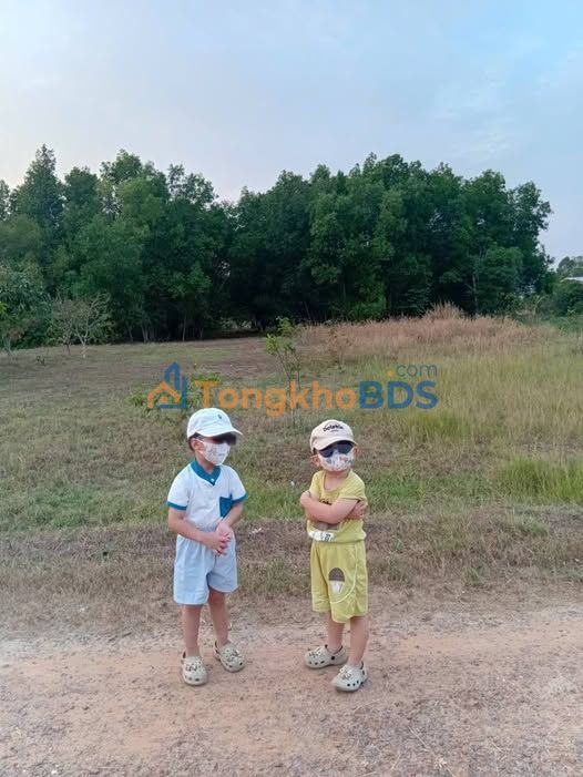 Bán Đất Vườn 1350m² Gò Dầu - Gần Cửa Khẩu Mộc Bài, Sổ Hồng Thổ Cư