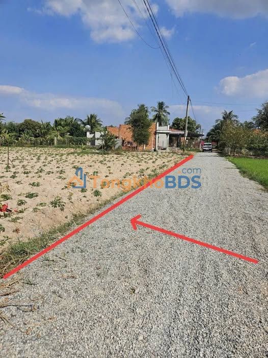 Đất nền Phước Vinh 6.000m² 1,6 tỷ - Xây dựng tự do