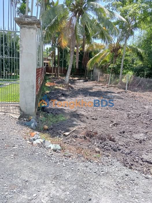 Đất nền Bông Trang Thạnh Đức 100m² 4xx triệu - Đất thổ cư 100%