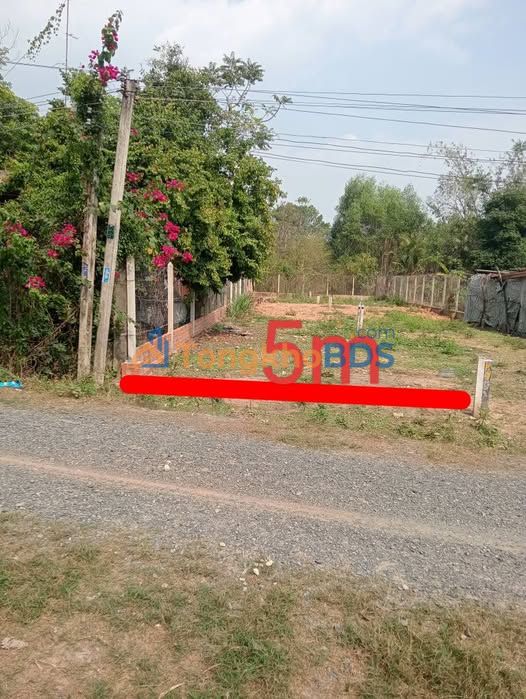Đất nền Hiệp Thạnh Gò Dầu 205m² 450 triệu - Sổ đỏ sẵn